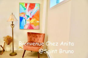 Basement 2-bedroom apartment near National Park and Montréal
